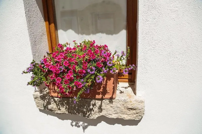 Olbia Domus Inn