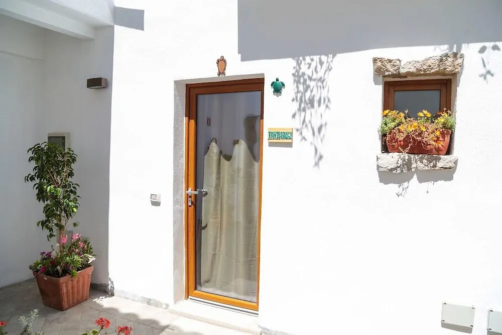 Gasthuis Olbia Domus Inn
